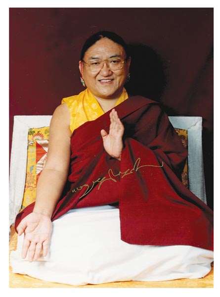 His Holiness the 41st Sakya Trizin during the period of establishing Dharma centers in India, shown in meditative composure with traditional monastic robes